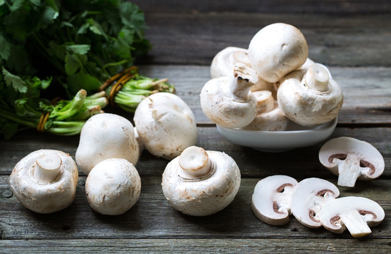 Ambiance champignons