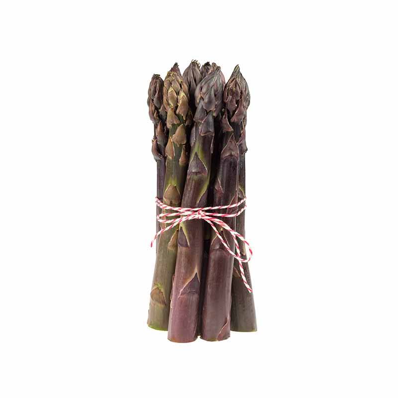 Asperges violettes