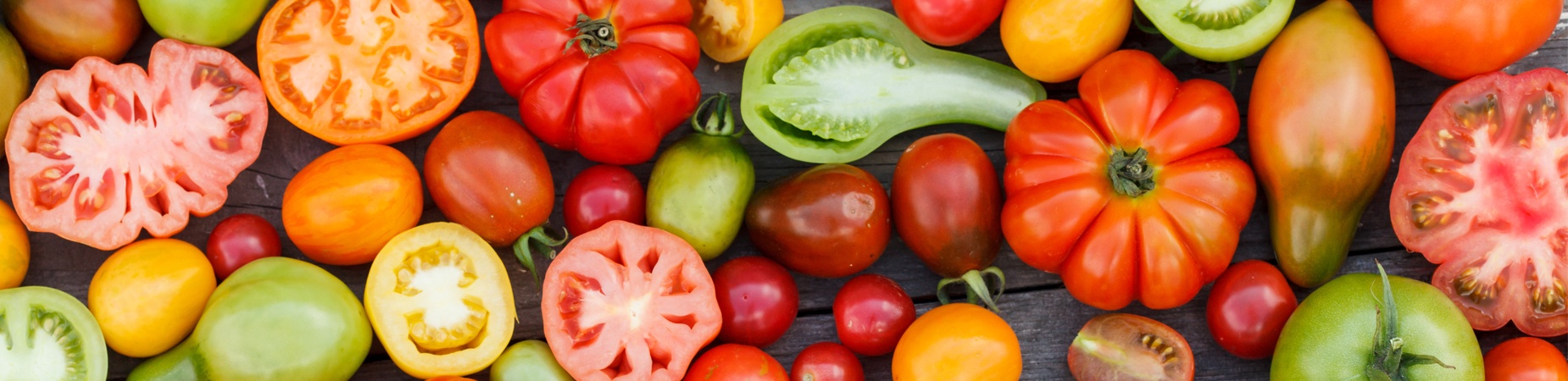 Diapo Tomates