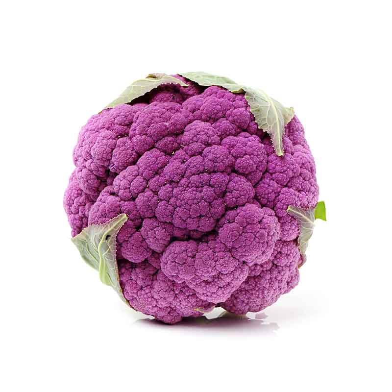 Chou fleur violet