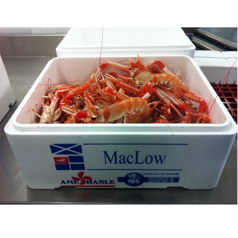 Langoustines Vivantes MacLow