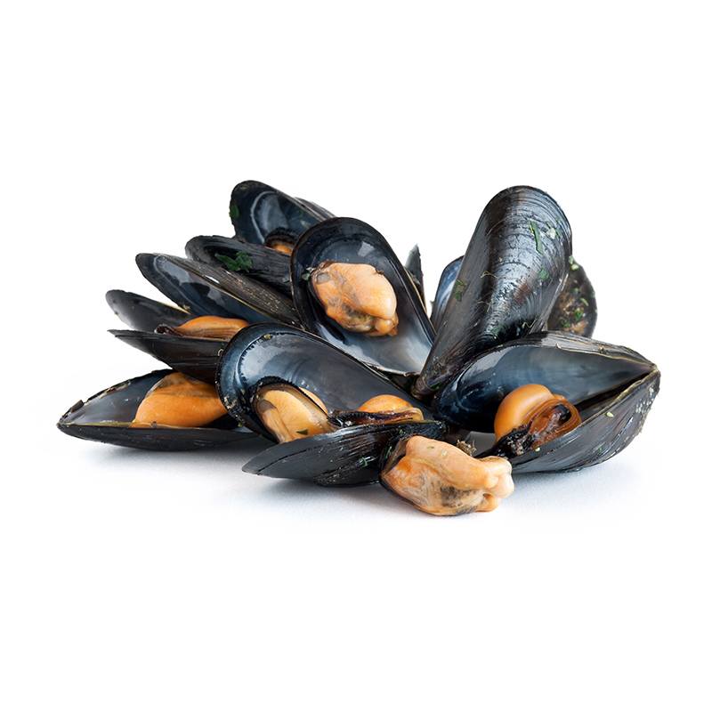 Moules