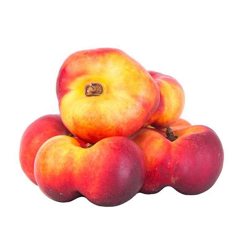 Nectarine plate