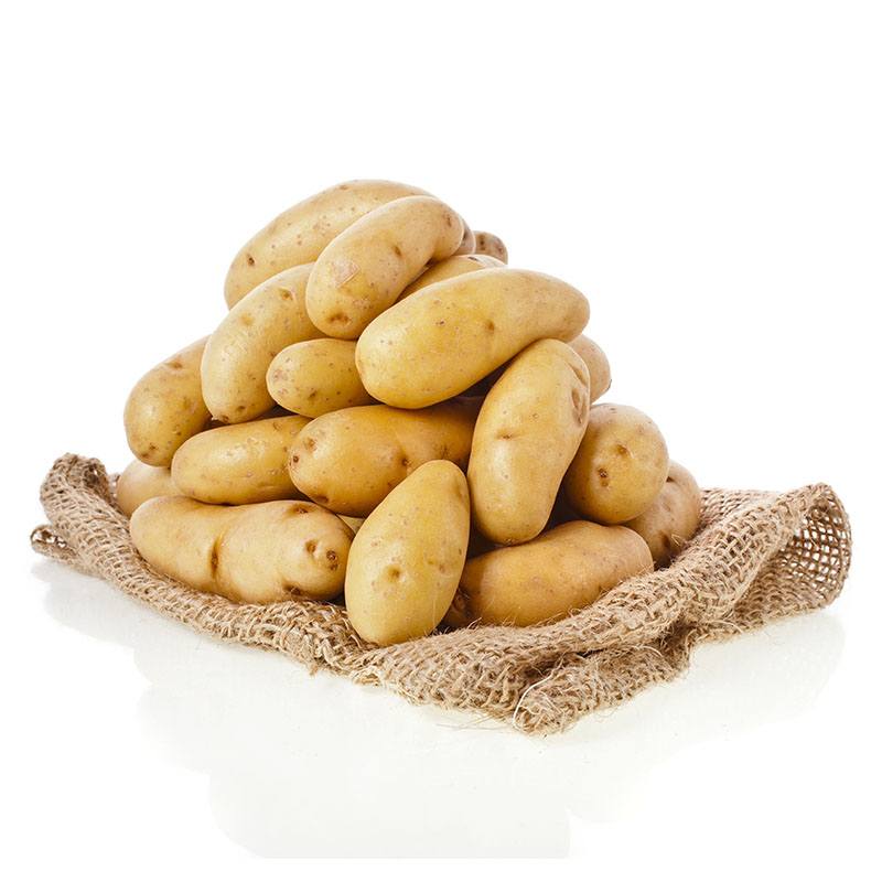 Pommes de terre de conservation