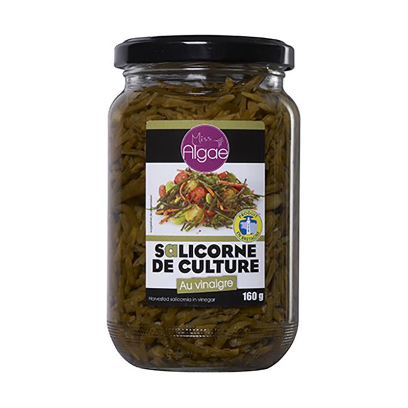 Salicornes de culture au vinaigre