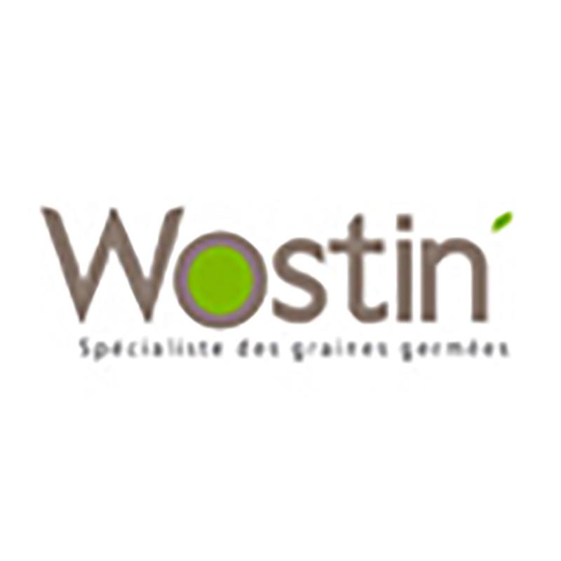 Logo Wostin